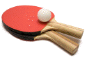 A picture named pingPongPaddles.gif