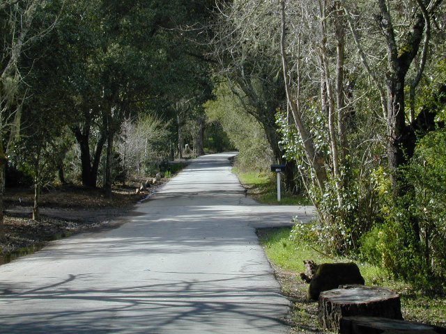 Sunny Walk Pic 2: 