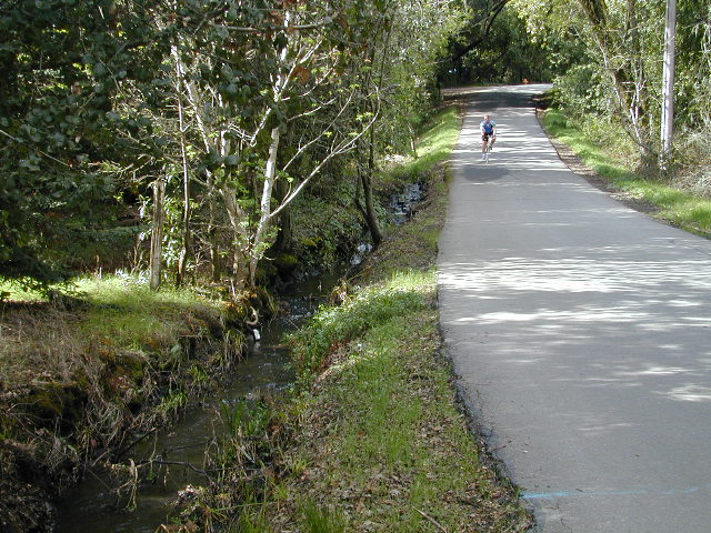 Sunny Walk Pic 3: 