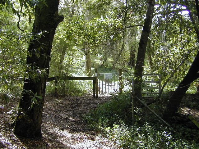 Sunny Walk Pic 5: 