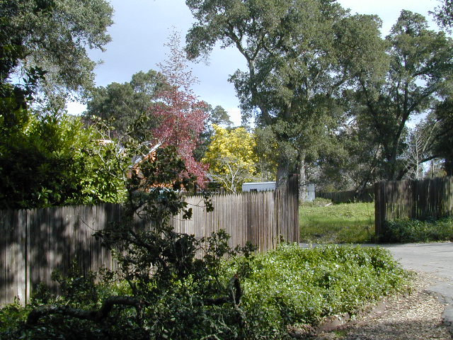 Sunny Walk Pic 8: 