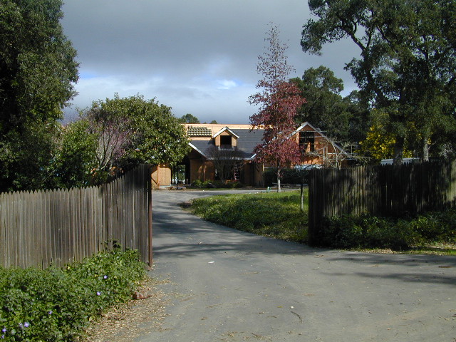 Sunny Walk Pic 9: 