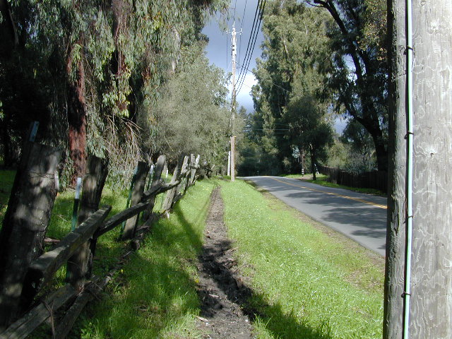 Sunny Walk Pic 17: 