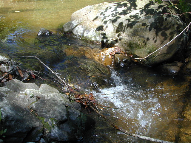 Spring creek 2: 