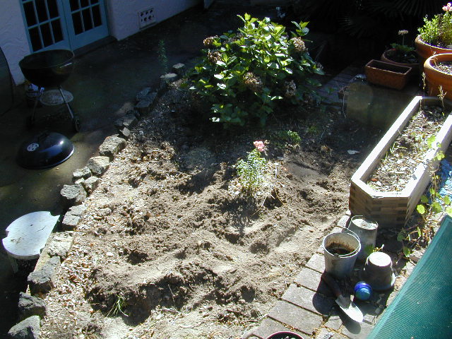 Dug up garden (before planting): 