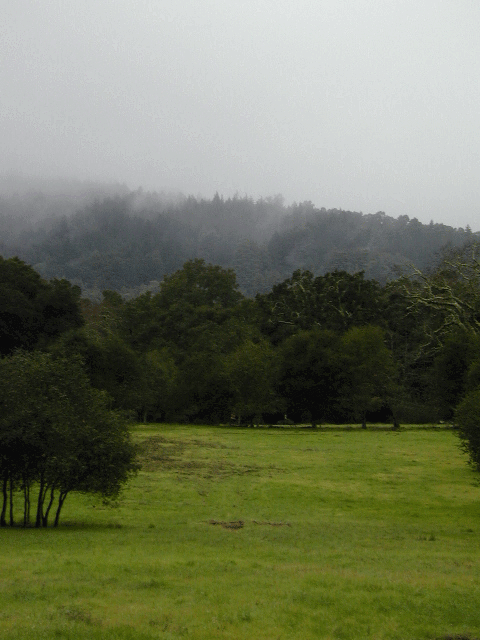 woodside1: 