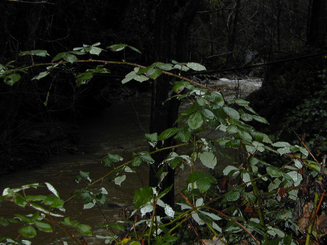 downStream: 