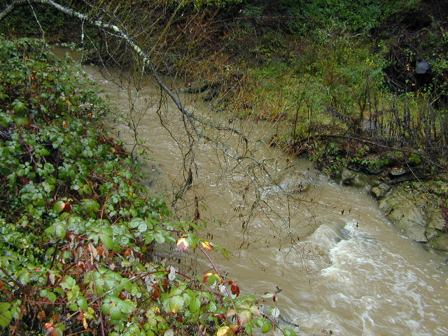 upStream: 