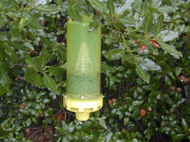 beeTrap: